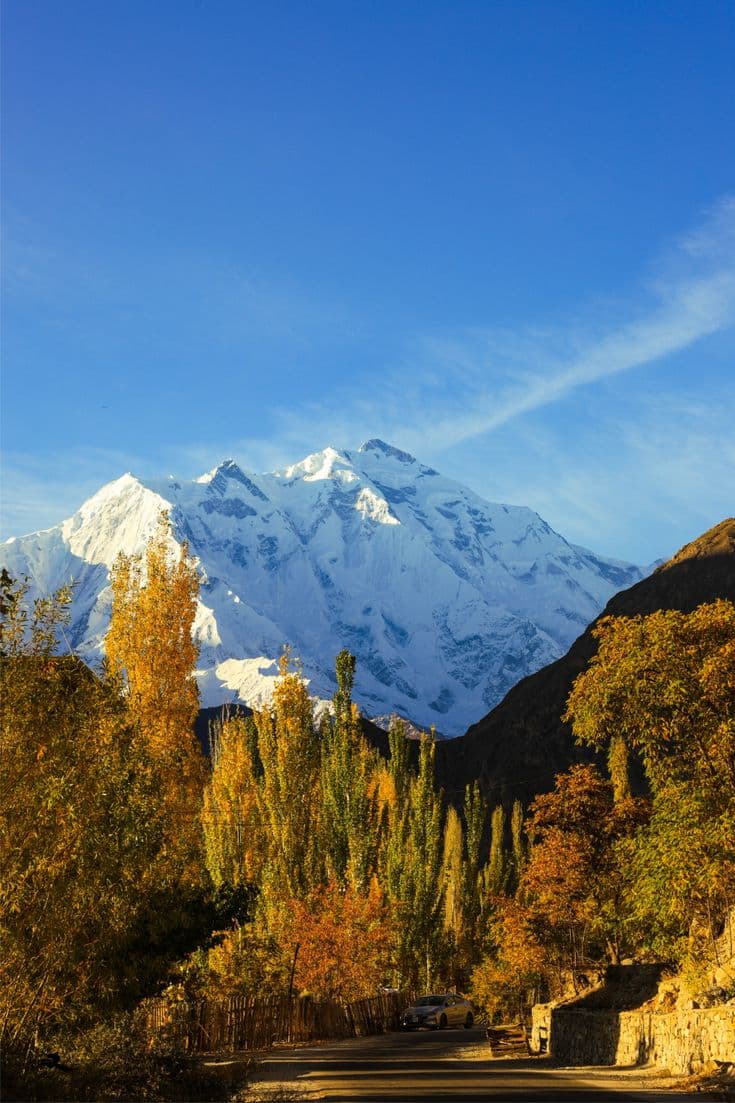 Gold poplars below Rakaposhi in autumn