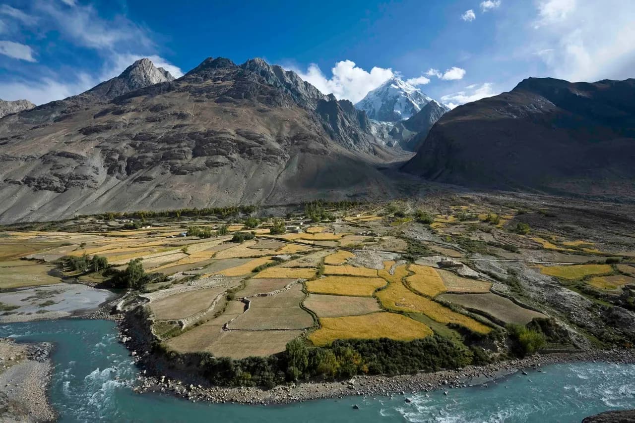 Ripening barley fields on a river terrace in the Afghan Wakhan, with a fast glacial river below and a snow peak at the head of a side valley