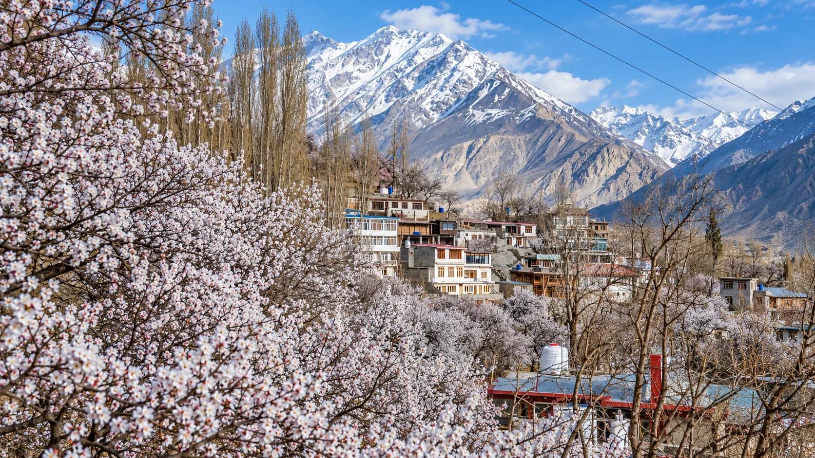 Traditional terraced stone and wooden village houses in northern Pakistan nestled behind a dense canopy of white and pink apricot blossoms, with steep, snow-covered mountain peaks towering in the background.